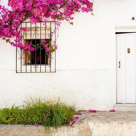 La Casa De Alicia